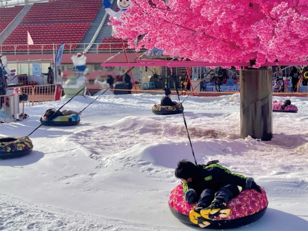 陜西省延安市雪地轉轉